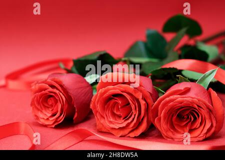 Rote Rosen neben einem roten Band, auf rotem Hintergrund. Konzeptkarte zum Valentinstag. Speicherplatz kopieren Stockfoto