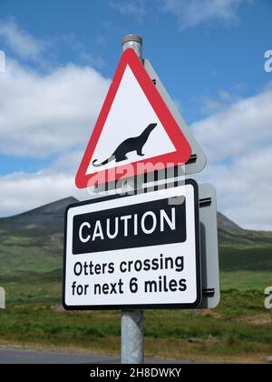 Achtung Otter Crossing Straßenschild Warnung auf der Isle of Mull in Schottland UK - Otter Schutz