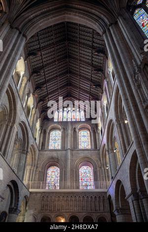 England, Cambridgeshire, Ely Cathedral, Innenansicht des Bogenschieberweges und der hohen gewölbten Holzdecke Stockfoto