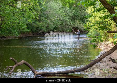 Fliegenfischen auf dem Fluss Irthing in Ruleholme, Cumbria, Großbritannien Stockfoto