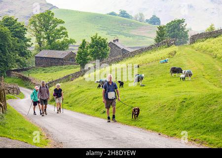 Wanderer genießen einen Spaziergang auf einer Spur im englischen Lake District in Martindale, Cumbria UK Stockfoto