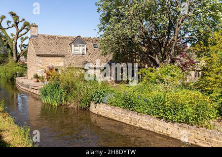 Ein traditionelles Steinhaus neben dem kleinen River Windrush, der durch das Cotswold-Dorf Naunton, Gloucestershire, Großbritannien, fließt Stockfoto