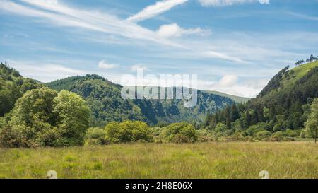 Berg- und Waldlandschaft im Glendalough National Park in den Wicklow Mountains, Irland. Stockfoto