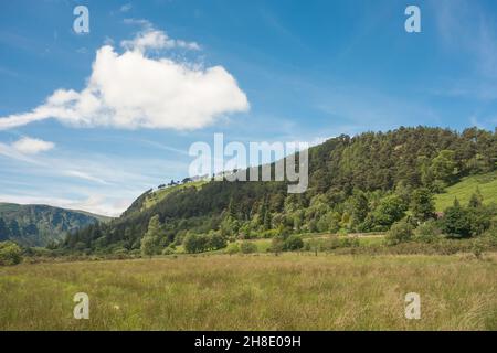 Berg- und Waldlandschaft im Glendalough National Park in den Wicklow Mountains, Irland. Stockfoto