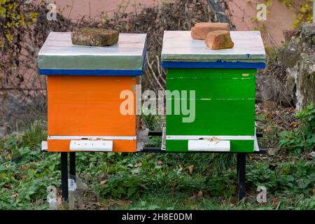 Zwei hölzerne Bienenstöcke, die an einem Herbsttag orange und grün auf einem Hof in einem Dorf bemalt wurden Stockfoto