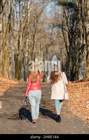 Zwei junge Mädchen gehen in einem herbstlichen Oktoberpark zwischen Bäumen mit heruntergefallenen Blättern Stockfoto