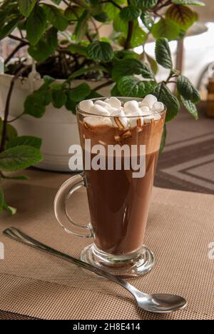 Kakao mit Sumpflaibe in einem hohen Glas Stockfoto