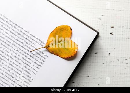 Gelbes herzförmiges Blatt auf offenem Buch auf einem weißen Holzbrett Stockfoto