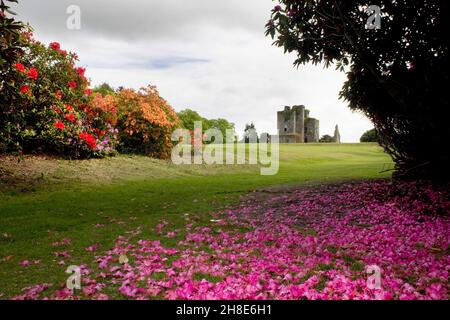 Eine Frühlingsszene in Castle Kennedy and Gardens, Stranraer, Dumfries & Galloway, Schottland Stockfoto