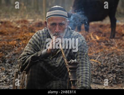 Ein Dorfbewohner aus Kashmiri raucht eine hubble-Blasenröhre, während er eine Pause vom Schälen von Korbstäben am Stadtrand von Srinagar macht. Wicker wird für die Herstellung von traditionellen Feuerstellen namens kangri in kaschmir verwendet. Kashmiris verwenden diese traditionellen Feuerköpfe, um sich in den schweren Wintermonaten, wenn die Temperatur bis auf minus 20 abgeht, warm zu halten. Kangri besteht aus Ton und Zweigen, in denen heiße Kohle gehalten wird. Kaschmir. Indien. Stockfoto