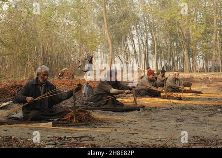 Die Bewohner von Kashmiri schälen am Stadtrand von Srinagar die Haut von Korbstäben. Wicker wird für die Herstellung von traditionellen Feuerstellen namens kangri in kaschmir verwendet. Kashmiris verwenden diese traditionellen Feuerköpfe, um sich in den schweren Wintermonaten, wenn die Temperatur bis auf minus 20 abgeht, warm zu halten. Kangri besteht aus Ton und Zweigen, in denen heiße Kohle gehalten wird. Kaschmir. Indien. Stockfoto