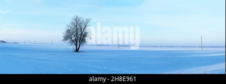 Schöner Sonnenaufgang im Winter, schneebedeckte Wiese Stockfoto