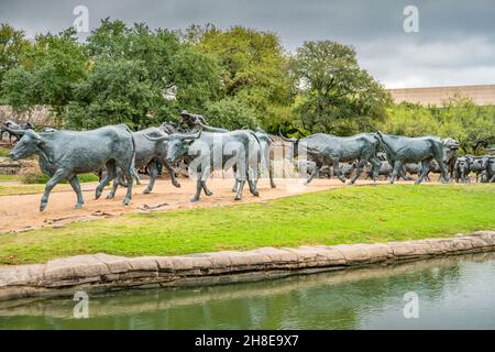 Cattle Drive Skulptur des Künstlers Robert Summers in Pioneer Plaza im Zentrum von Dallas, Texas, USA. Stockfoto