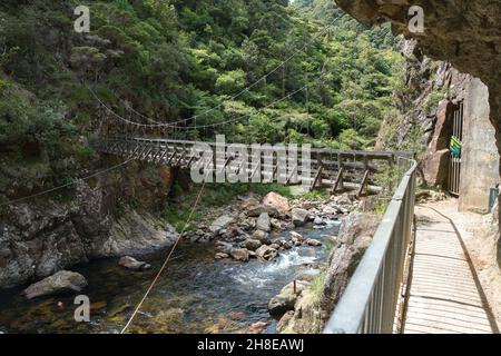 Der Wanderweg auf der Hängebrücke über den Fluss in der Schlucht Stockfoto