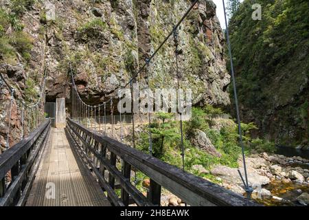 Der Wanderweg auf der Hängebrücke über den Fluss in der Schlucht Stockfoto