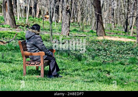 Holzbank mit einer einsamen Frau, die hoffentlich auf die wiederbelebende Natur im Frühjahr starrt, Sofia, Bulgarien Stockfoto