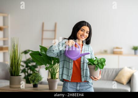 Häusliches Leben. Porträt einer schönen jungen arabischen Frau, die sich um Zimmerpflanzen kümmert, zu Hause gärtnerisch arbeitet Stockfoto