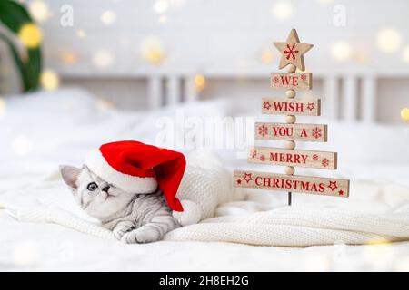 Weihnachtskatzenkarte Wir wünschen Ihnen ein Frohe Weihnachten. Wenig neugierig lustig gestreiften schottischen Falte Kätzchen in Weihnachten roten Weihnachtsmann Hut auf weißem Bett zu Hause. Stockfoto