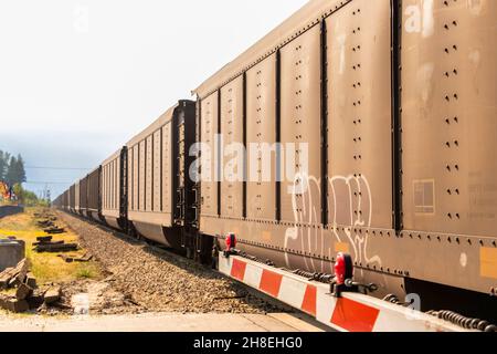 Perspektivischer Blick auf die vorbeirasenden Güterwagen im kanadischen pazifik auf der Eisenbahn Stockfoto