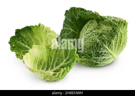 Savoy-Kohl isoliert auf weißem Hintergrund mit Schnittpfad und voller Schärfentiefe Stockfoto