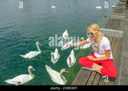 Zürichsee in der Stadt Zürich mit einem Mädchen, das mit weißen Schwanen im Hafen spielt. Deutch Schweiz des Kantons Zürich. Stockfoto