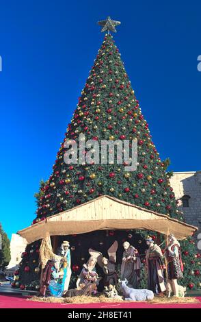 Krippe und Weihnachtsbaum in Bethlehem Stockfoto