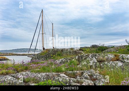 Ockero, Schweden - 10. Juni 2021: Verstecktes Boot in der Bucht mit sichtbarem Mast Stockfoto