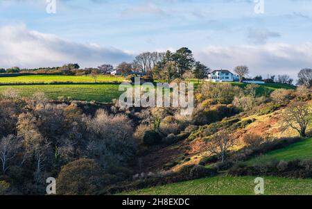 Englisches Dorf und Ackerland in Herbstfarben, Kingswear, Brixham, Devon, England, Europa Stockfoto
