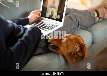 Mann mit Hund Videokonferenzen mit Kollegen auf dem Laptop-Bildschirm Stockfoto