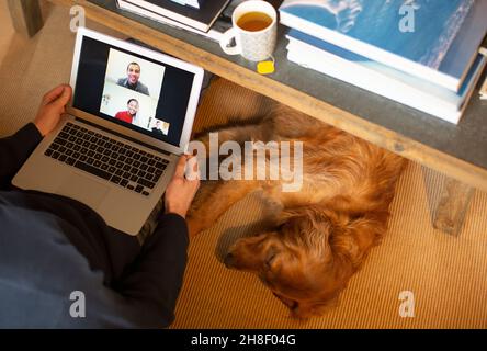 Hund schläft unter Mann Videokonferenzen mit Kollegen auf Laptop Stockfoto