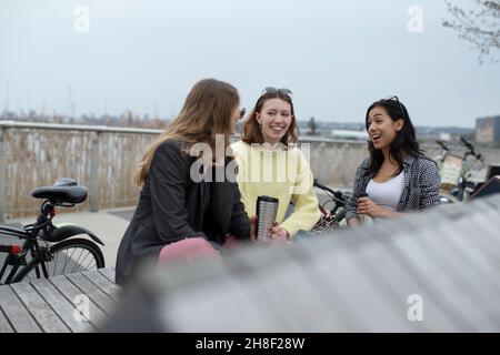 Glückliche junge Freundinnen im Park Stockfoto