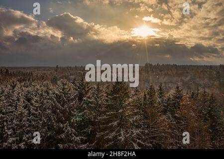 Nach einem verschneiten Tag scheint die Sonne auf den weißen Baumkronen. Stockfoto