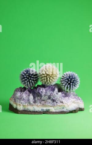 Getrocknete echinops-Blüten, die auf einem Amethyst-Quarzkristall ruhen. Stockfoto