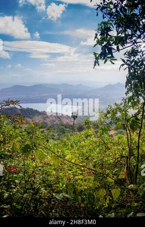 Vertikale Aufnahme eines allein hohen Kokosnussbaums. Zweigstelle Karla, Maharashtra State, Indien Stockfoto
