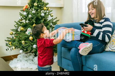 Ein Junge überreicht seiner Schwester ein Geschenk, die neben dem weihnachtsbaum mit einem schwarzen Welpen spielt Stockfoto