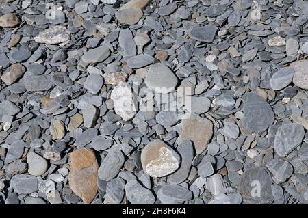 Graue Schiefersteine am Strand Stockfoto