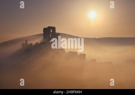 Die dramatischen Ruinen von Corfe Castle aus dem 11th. Jahrhundert, die bei Sonnenaufgang in Nebel gehüllt sind, Isle of Purbeck, Dorset, England, Großbritannien Stockfoto