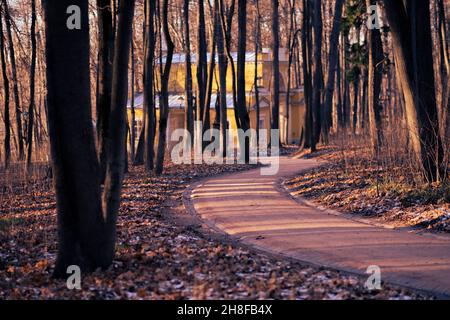 Fantasy Herbst im Wald. Hochwertige Fotos Stockfoto