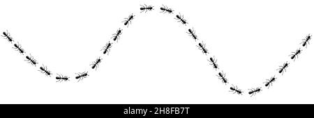 Trail-Kurve der MitarbeiterAmeisen. ANT-Pfad auf weißem Hintergrund isoliert. Vektorgrafik Stock Vektor