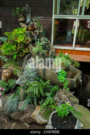 Steingarten mit Farnen und Tillandsien, Luftpflanzen, mit ungewöhnlichen und dekorativen Wasserfall in subtropischen Garten in Australien Stockfoto