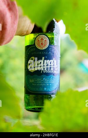 Wolzhsky, Russland-25. September 2021: Budvar nealko nicht-alkoholische Nahaufnahme. Selektiver Fokus Stockfoto