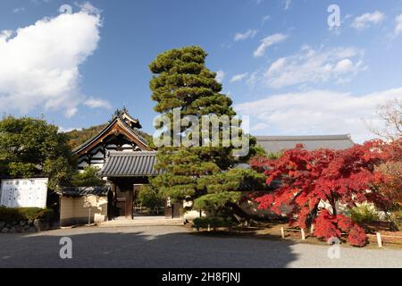 Kyoto, Japan. 26th. November 2021. Eingang des Toji-in Tempels.Toji-in wurde 1341 am südlichen Hang des Berges Kinugasa vom Shogun Ashikaga Takauji gegründet. 15 Shoguns kamen aus dem Ashikaga-Clan und machten den Toji-in-Tempel reich an historischen Artefakten und Kunstwerken. Kredit: SOPA Images Limited/Alamy Live Nachrichten Stockfoto