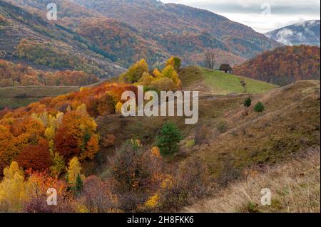 Herbstliche Landschaft über den Dumesti-Hügeln Stockfoto