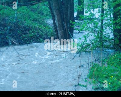 Starker Wasserfluss im Wald, im Frühjahr Stockfoto