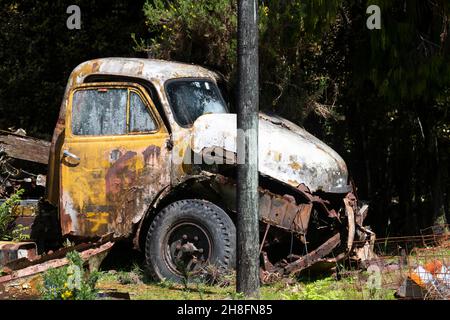 Verlassene Bedford-Lastwagen bei Trappers Rest, in der Nähe von Hokitika, Westland, Südinsel, Neuseeland Stockfoto