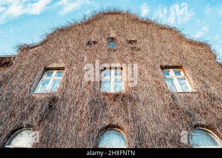 Ein Gebäude mit Fenstern zum Himmel sieht aus wie ein haariges Gebäude, das von dichter, trockener Vegetation bedeckt ist Stockfoto