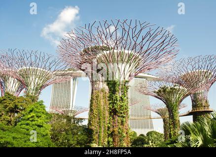 Supertrees at Gardens by the Bay vor dem Marina Bay Sands Hotel in Singapur Stockfoto