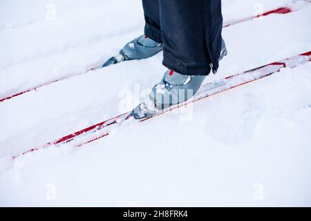 Nahaufnahme von Skiern und grauen Skischuhen. Mann beim Skifahren auf Winterschnee an klaren sonnigen Tag, Seitenansicht Stockfoto