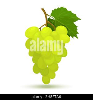 Trauben aus gelben oder grünen Trauben mit Weinblättern. Vektor flaches Design Illustration isoliert auf weißem Hintergrund, minimalistischer Stil, rohe frische Früchte Stock Vektor