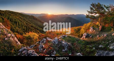 Orangenlärchen auf dem Hügel. Panorama Herbst Ansicht der Slowakei Land. Schönheit der Natur Konzept Hintergrund. Stockfoto